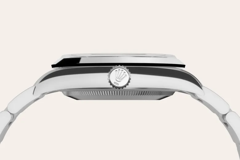 Oystersteel Watch Case - Chung Fatt Kee