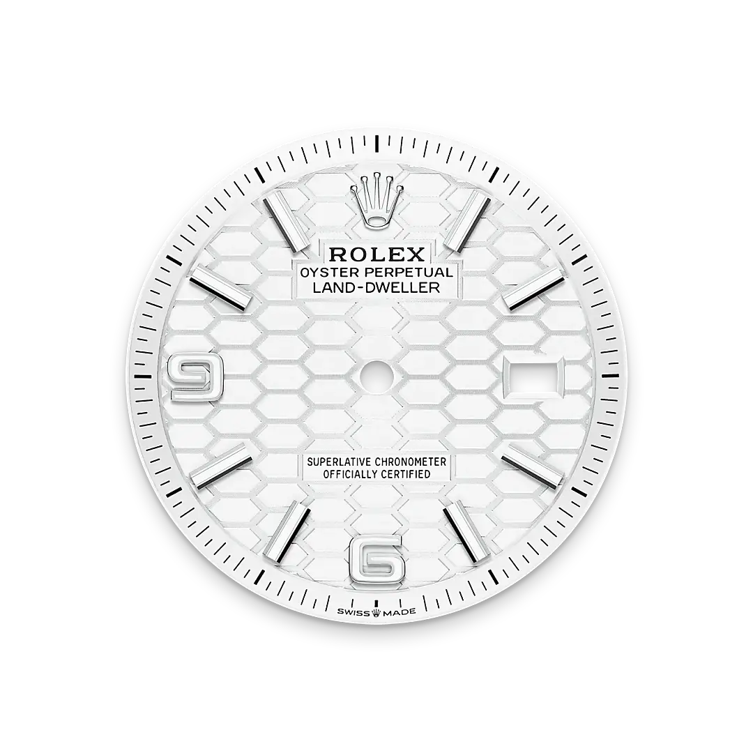 Rolex Land-Dweller in White Rolesor - combination of Oystersteel and white gold, M127234-0001 - Chung Fatt Kee