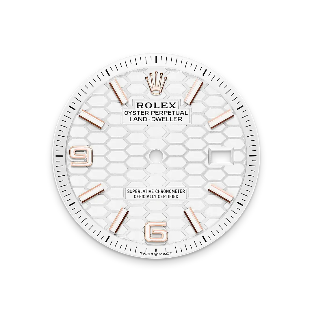 Rolex Land-Dweller in 18 ct Everose gold, M127235-0001 - Chung Fatt Kee