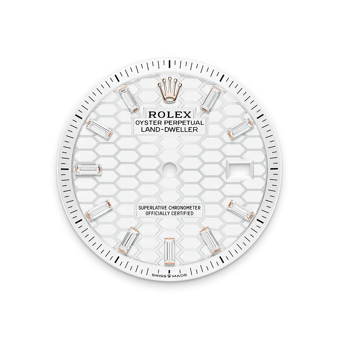 Rolex Land-Dweller in 18 ct Everose gold, M127285TBR-0002 - Chung Fatt Kee