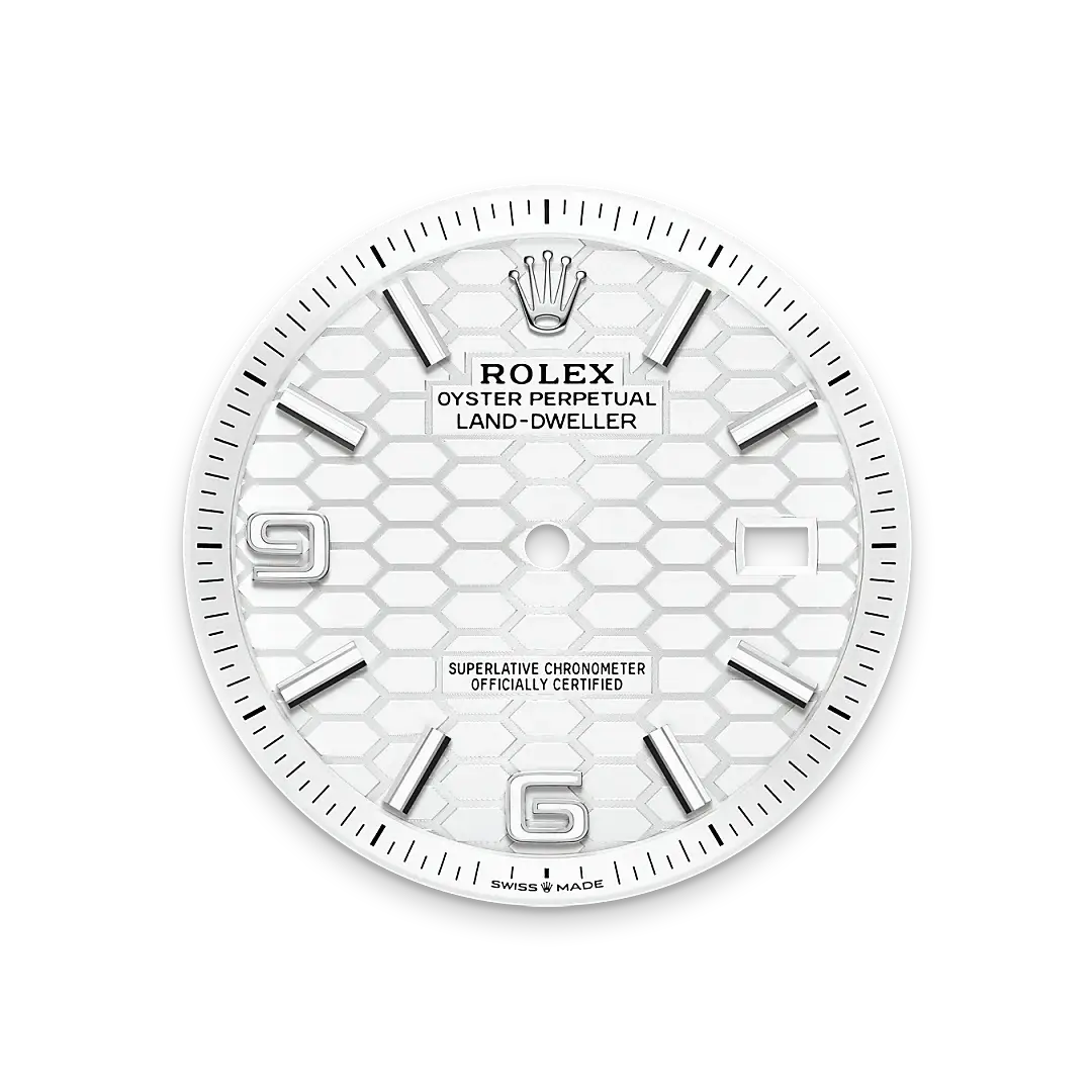 Rolex Land-Dweller in White Rolesor - combination of Oystersteel and white gold, M127334-0001 - Chung Fatt Kee