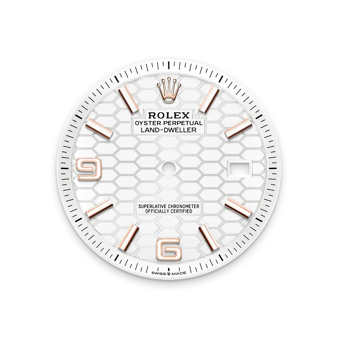 Rolex Land-Dweller in 18 ct Everose gold, M127335-0001 - Chung Fatt Kee