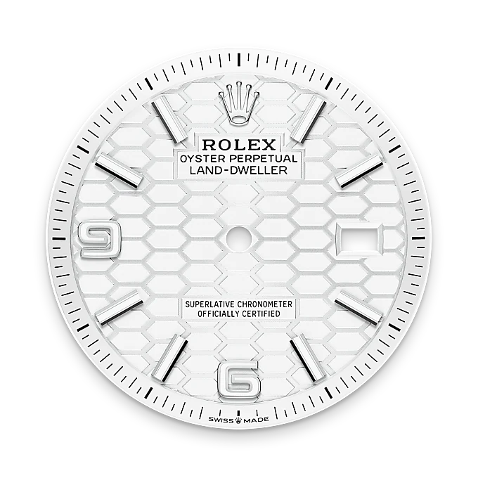 Rolex Land-Dweller in White Rolesor - combination of Oystersteel and white gold, M127234-0001 - Chung Fatt Kee