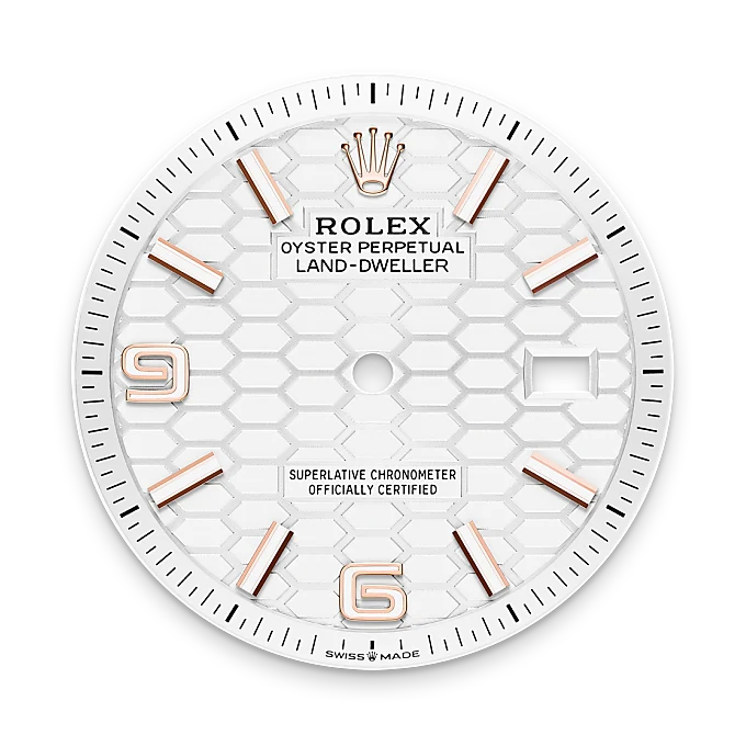 Rolex Land-Dweller in 18 ct Everose gold, M127235-0001 - Chung Fatt Kee