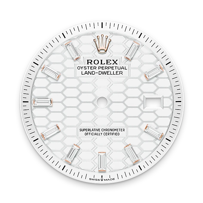 Rolex Land-Dweller in 18 ct Everose gold, M127285TBR-0002 - Chung Fatt Kee