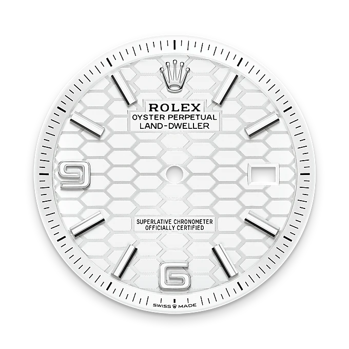 Rolex Land-Dweller in White Rolesor - combination of Oystersteel and white gold, M127334-0001 - Chung Fatt Kee