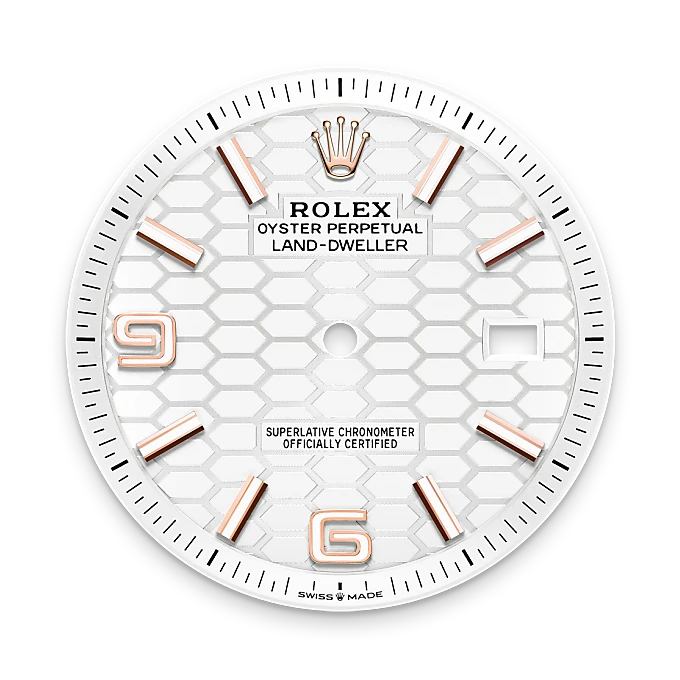 Rolex Land-Dweller in 18 ct Everose gold, M127335-0001 - Chung Fatt Kee
