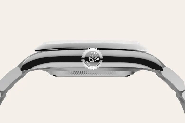 Rolex Oyster Perpetual in Oystersteel, M134300-0006 - Chung Fatt Kee