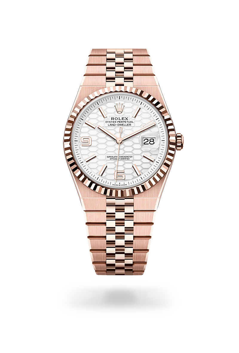 Rolex Land-Dweller in 18 ct Everose gold, M127335-0001 - Chung Fatt Kee