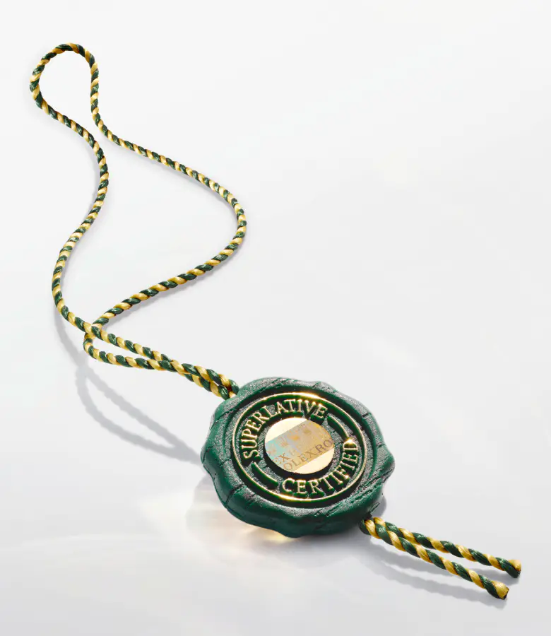 Rolex Oyster Story - Chung Fatt Kee
