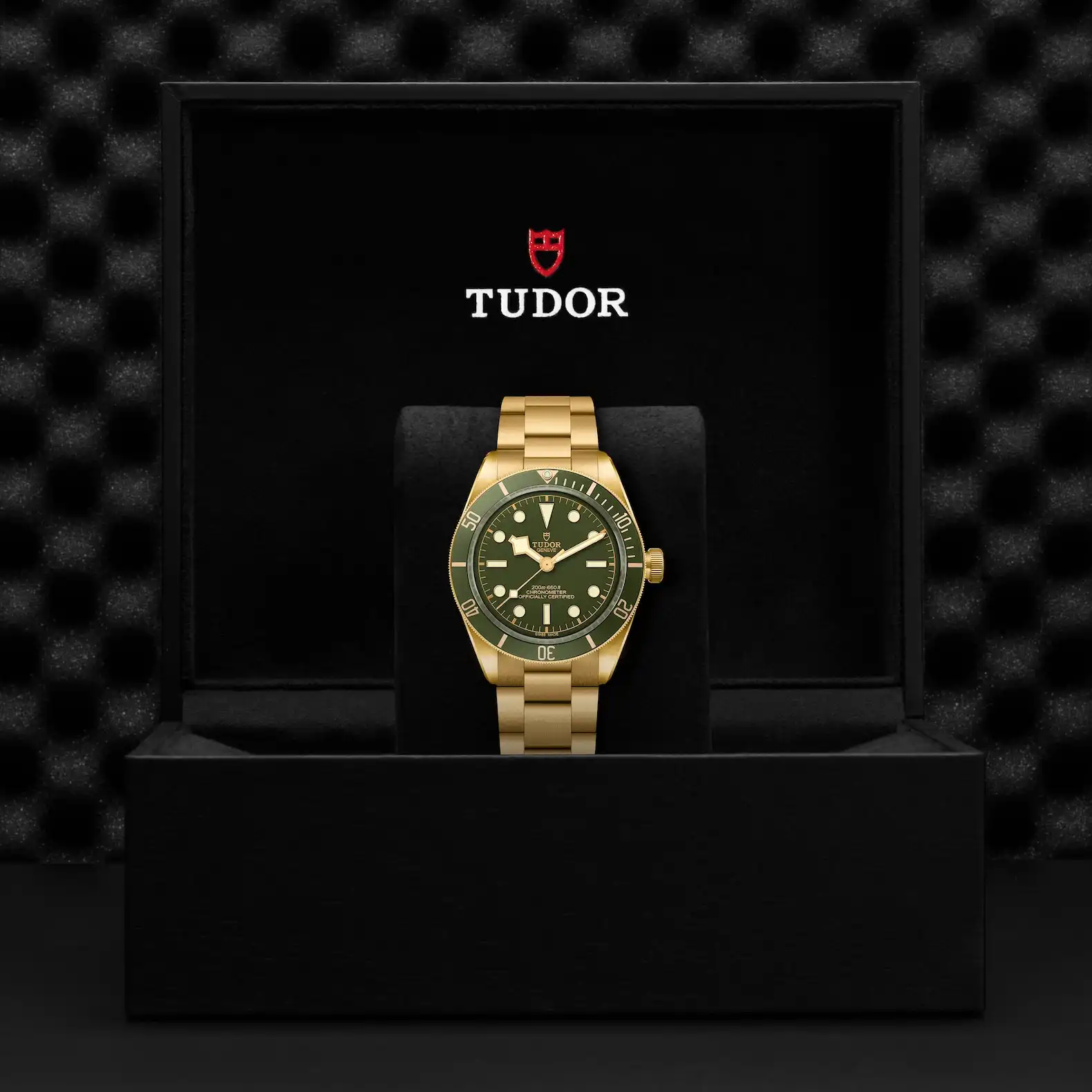 Tudor