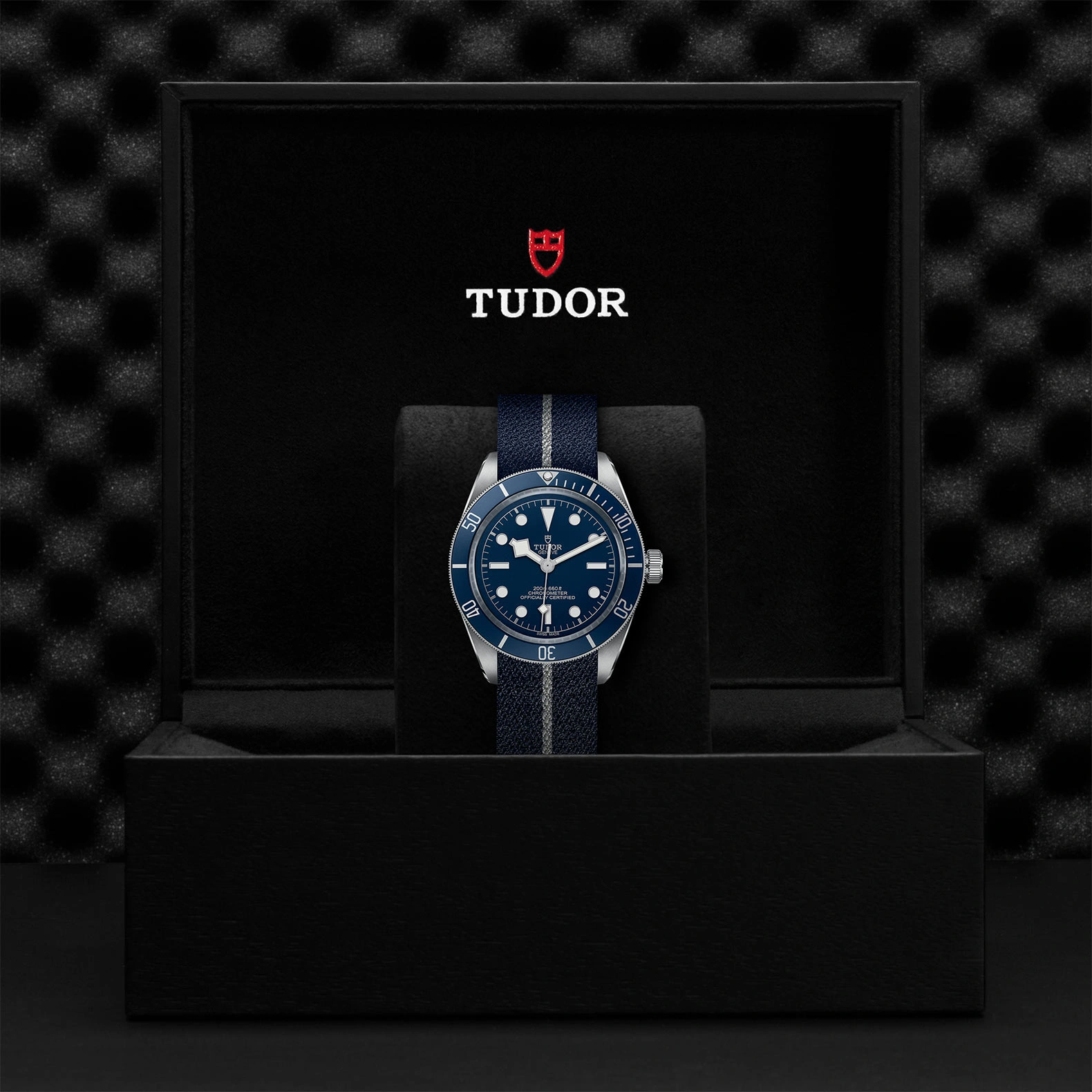 Tudor