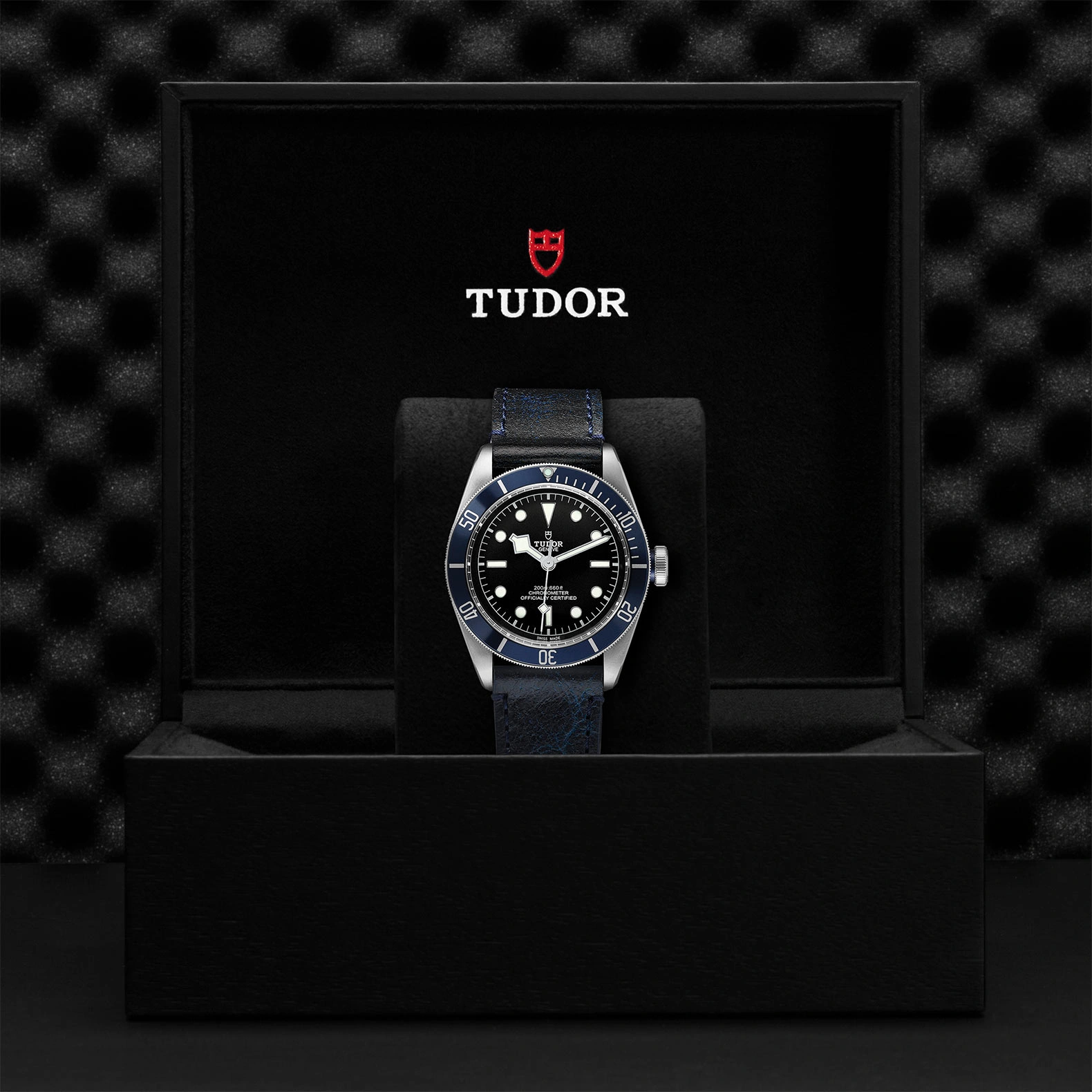 Tudor