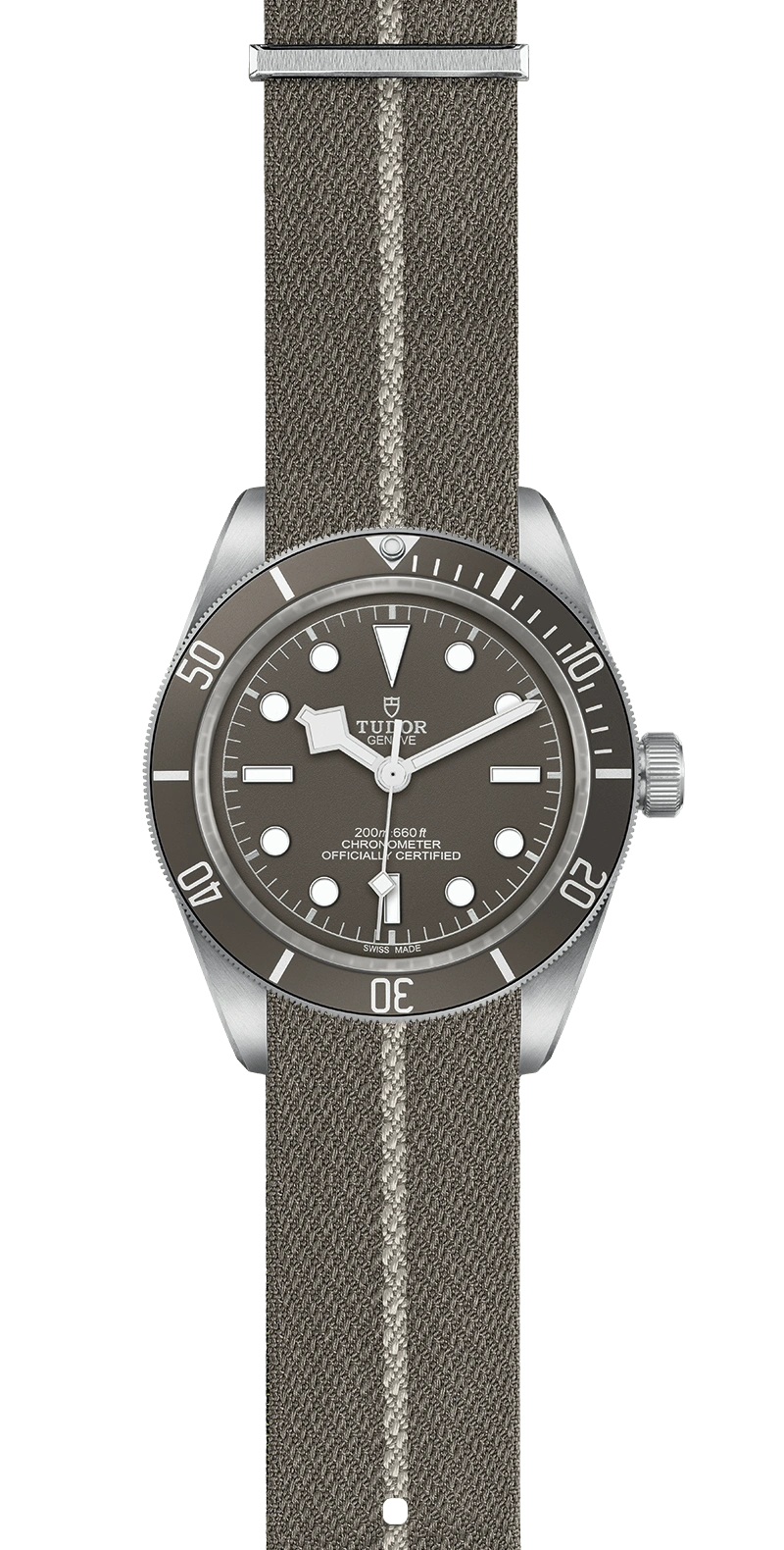 Tudor Watch