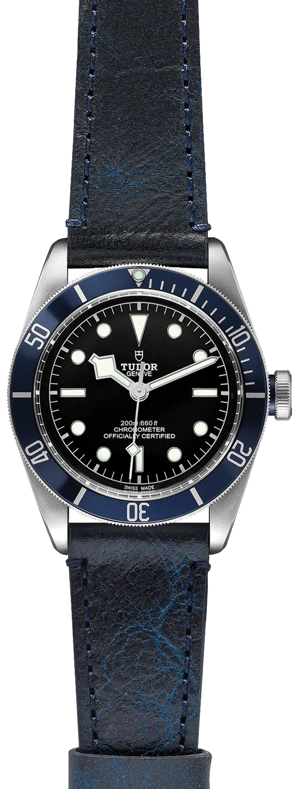 Tudor Watch