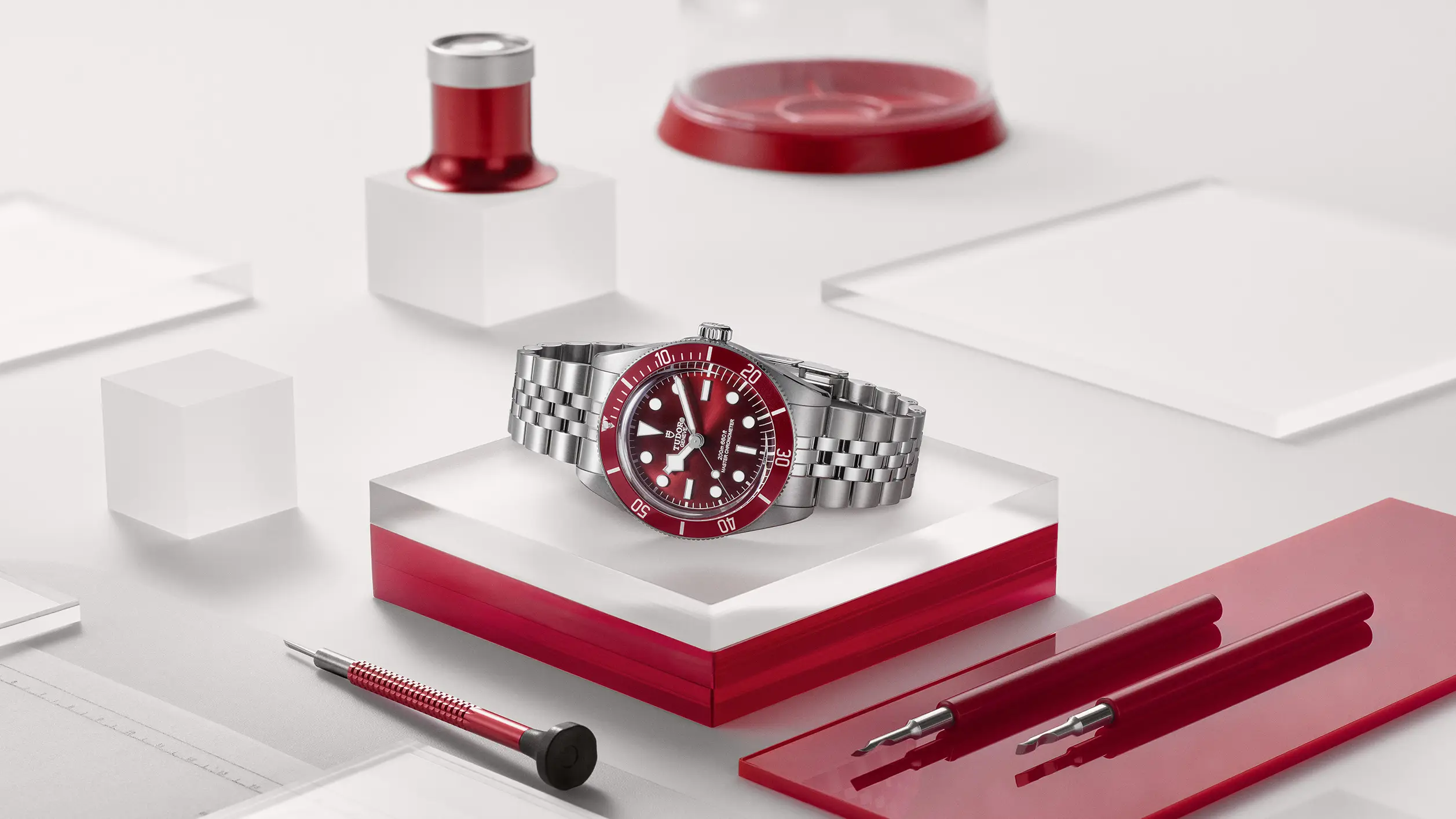 Tudor watches - Chung Fatt Kee