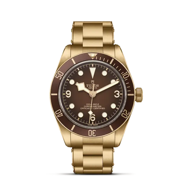 Tudor BLACK BAY 58 M79012M-0001 | Chung Fatt Kee
