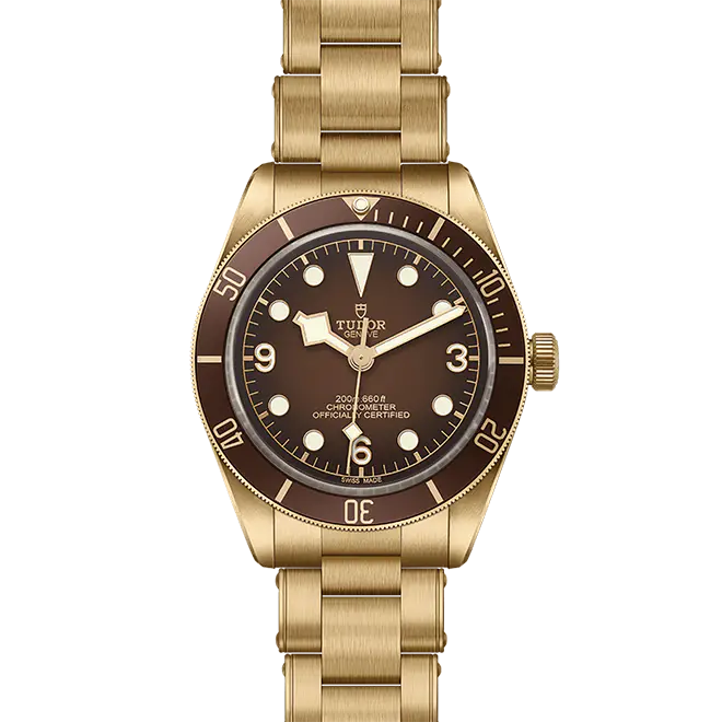 Tudor BLACK BAY 58 M79012M-0001 | Chung Fatt Kee