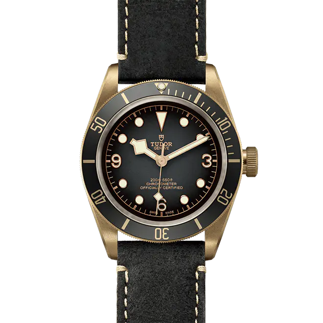 Tudor BLACK BAY BRONZE M79250BA-0001 | Chung Fatt Kee