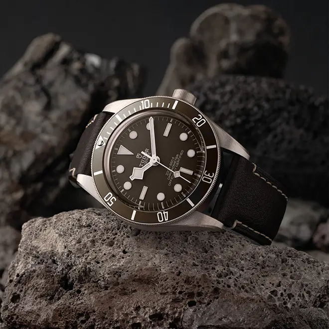 Tudor BLACK BAY 58 925 M79010SG-0001 | Chung Fatt Kee