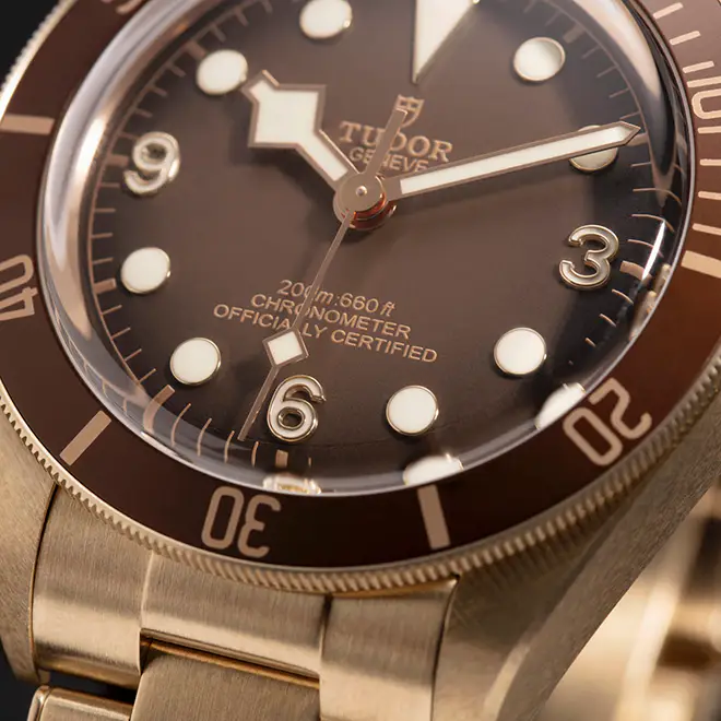 Tudor BLACK BAY 58 M79012M-0001 | Chung Fatt Kee