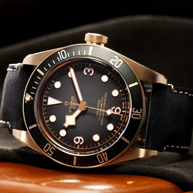 Tudor BLACK BAY BRONZE M79250BA-0001 | Chung Fatt Kee