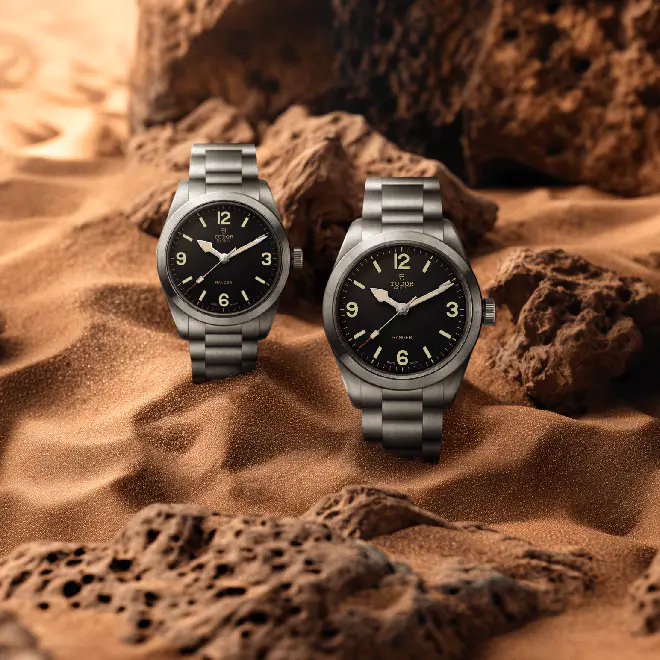Tudor RANGER M79930-0001 | Chung Fatt Kee