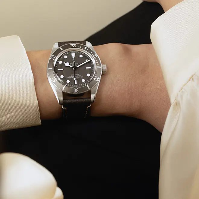 Tudor BLACK BAY 58 925 M79010SG-0001 | Chung Fatt Kee